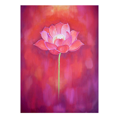 red lotus oil on canvas 60 x 80 cm £3,500 sold